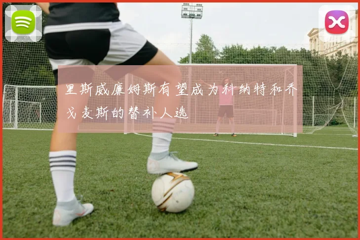 里斯威廉姆斯有望成为科纳特和乔戈麦斯的替补人选