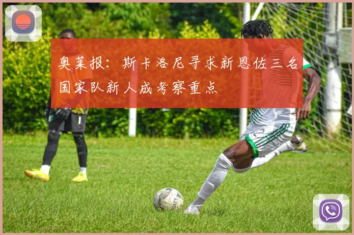 奥莱报：斯卡洛尼寻求新恩佐三名国家队新人成考察重点