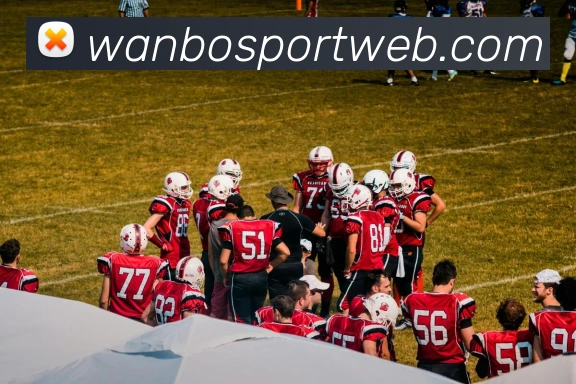 万博体育APP 高清赛事图